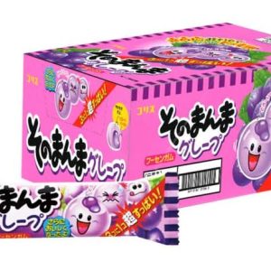 Chewing Gum Au Goût Raisin 14.4g