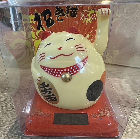 le chat porte bonheur en couleur beige ( solaire)